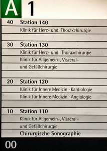 Organigramm